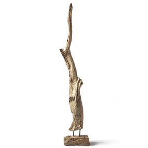 Korzeń TEAK