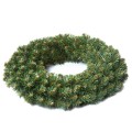 wianek-spruce.jpg