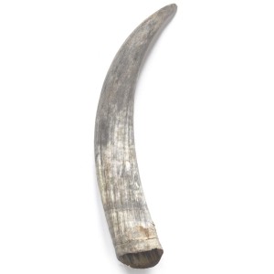 Róg COW XL 