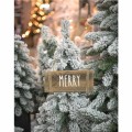 deska-merry.jpg