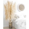 pampas 1.jpg