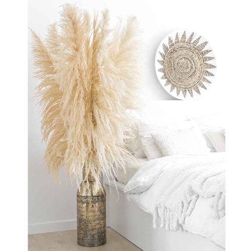 pampas 1.jpg