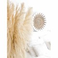 pampas 2.jpg