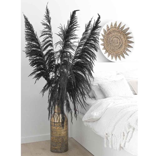 pampas 7.jpg