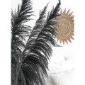 pampas 8.jpg