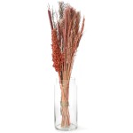 Bukiet suszony mix 75 cm
