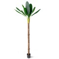 Bananowiec 280 cm