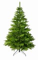 Choinka Stanley green 210cm