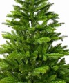 Choinka Stanley green 210cm