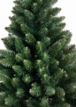 Choinka PINUS VARDO 210cm