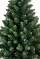 Choinka PINUS VARDO 160cm