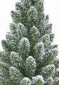 Choinka GRIMSTAD SNOW 80 cm