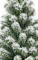 Choinka UMEA SNOW 45cm