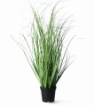 Trawa w donicy 50 cm