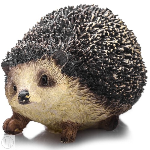 download.jpg