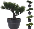 Drzewko bonsai 19cm