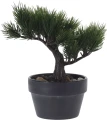 Drzewko bonsai 19cm 1