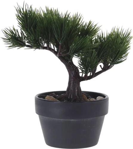 Drzewko bonsai 19cm 1