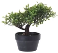 Drzewko bonsai 19cm 3