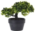 Drzewko bonsai 19cm 4