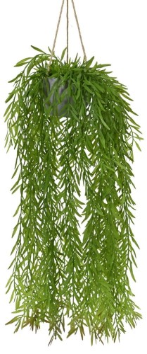 Wisząca roślina w Donicy 60 cm 1