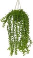 Wisząca roślina w Donicy 60 cm 3