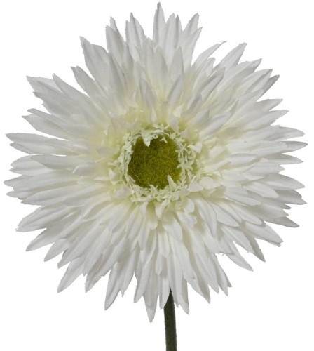 Chryzantema biała 54 cm