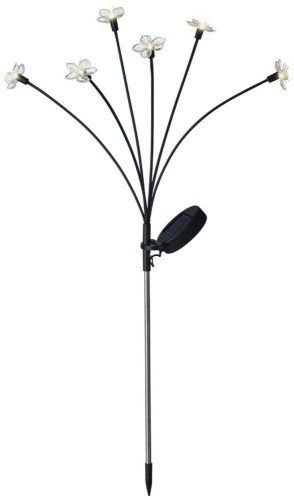 Kwiatki SOLAR