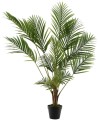 Palma w donicy 125 cm