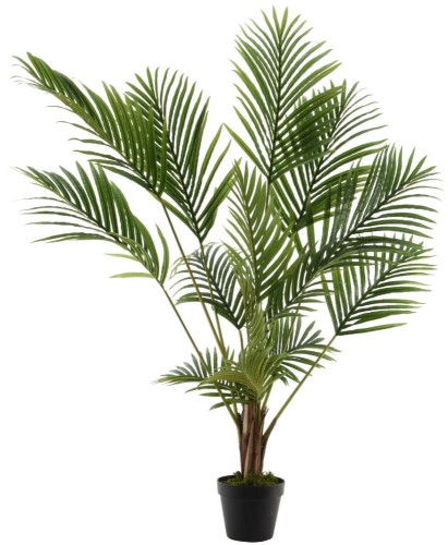 Palma w donicy 125 cm
