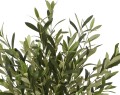 Drzewo oliwne 125cm