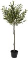 Drzewo oliwne 125cm
