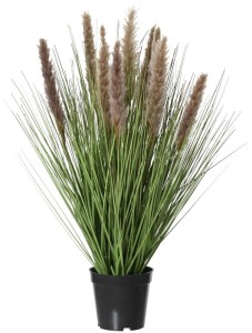 Trawa pampasowa w donicy 68cm