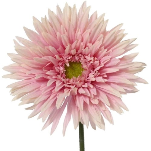 Chryzantema rózowa 54cm