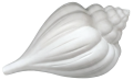 Muszla CERAMIC 2