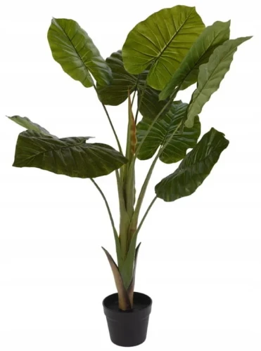 Roślina w donicy 110 cm 1