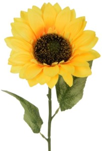 Słonecznik gałązka 68 cm