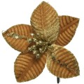 Poinsecja 10 cm 1