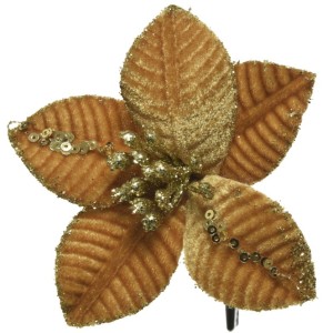 Poinsecja 10 cm