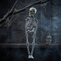 Szkielet HALLOWEEN 45 cm
