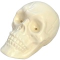 Czaszka LED 1